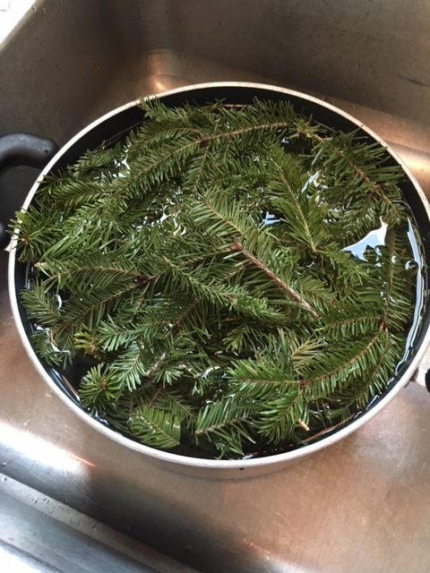 christmas tree for a healing bath- a pot